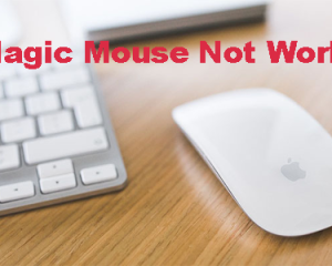 Comment réparer une souris magique qui ne fonctionne pas